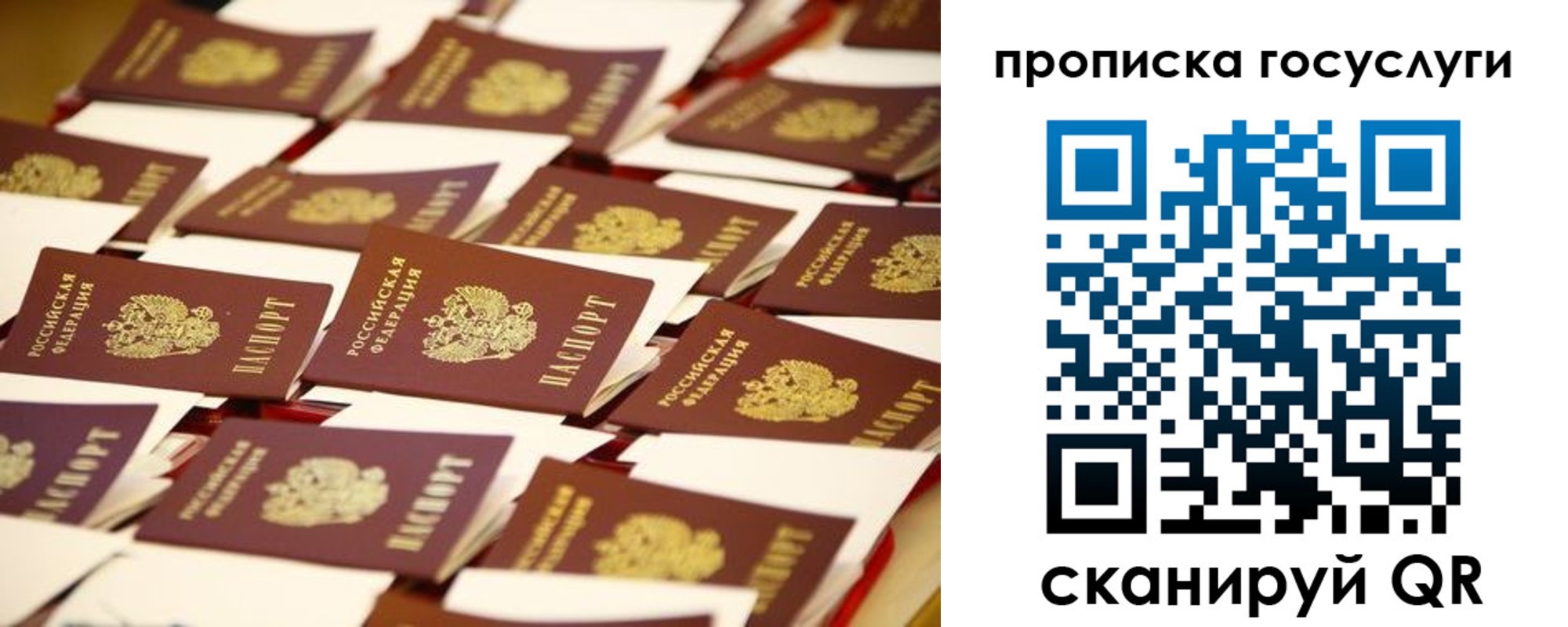 прописка гарантия в Энгельсе